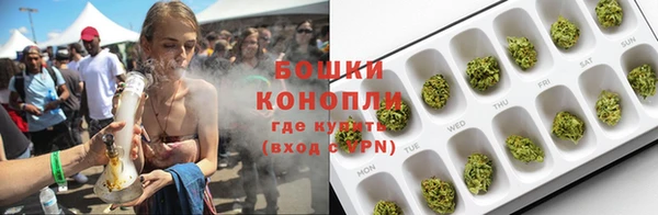 крисы Каменка