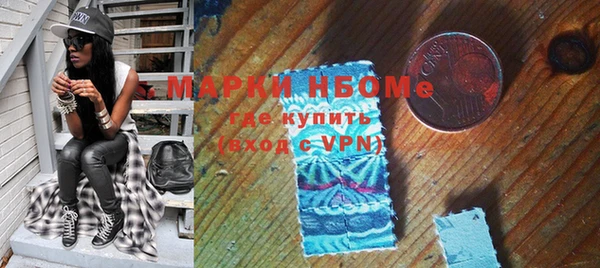 крисы Каменка