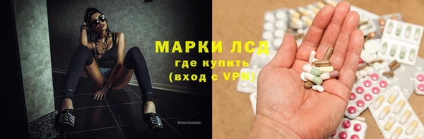крисы Каменка