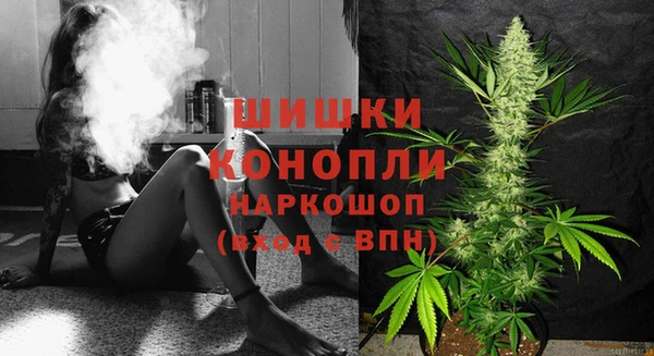 эйфоретик Щигры