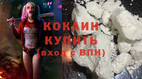 крисы Каменка