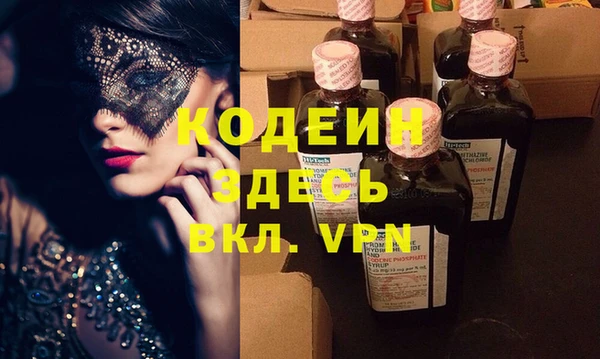 крисы Каменка