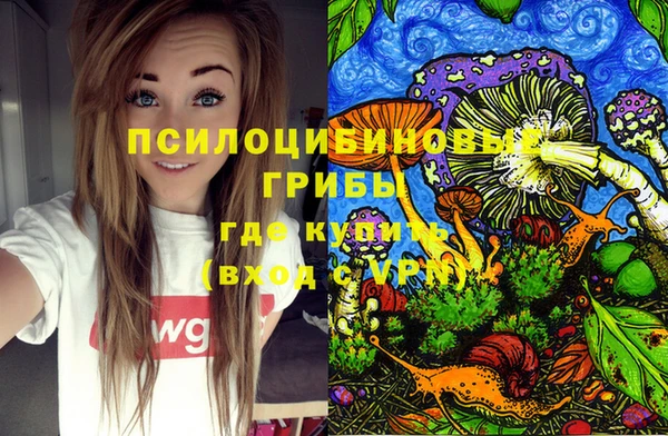 дживик Щучье