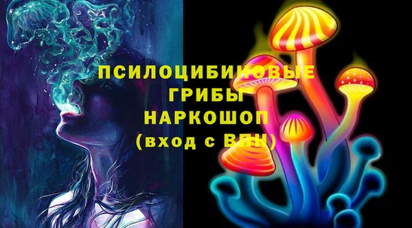 Альфа ПВП Карпинск