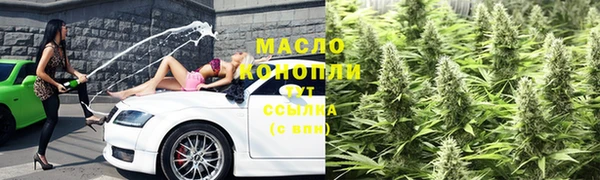 крисы Каменка