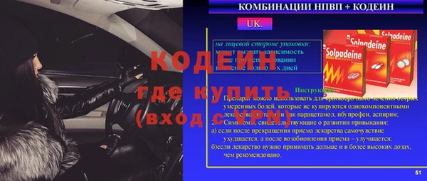 эйфоретик Щигры