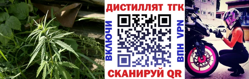 цены   Грязи  ТГК концентрат 
