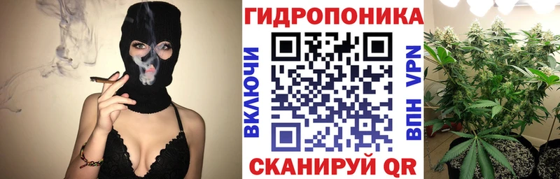 Каннабис AK-47  MEGA tor  Грязи 